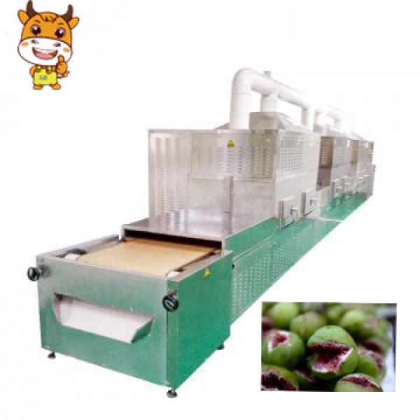 New condition dried figs microwave drying machine #1 image