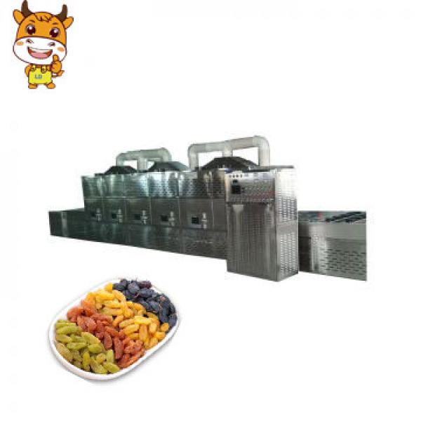 Best price grape raisin microwave drying machine #1 image