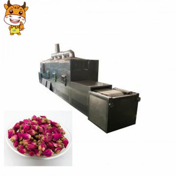 Industrial Microwave 50kw Tunnel Collagen Protein Microwave Drying and Sterilizing Machine #1 image