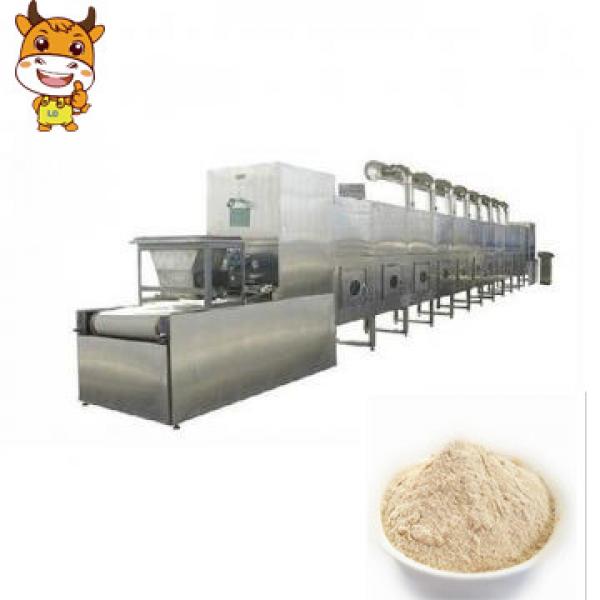 Industrial Machine 20kw Belt Microwave Drying Machine for Onion Powder #1 image