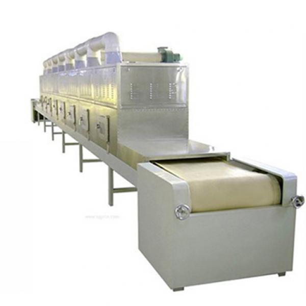 Belt Type Industrial 50kw Pet Food Microwave Drying Machine #2 image