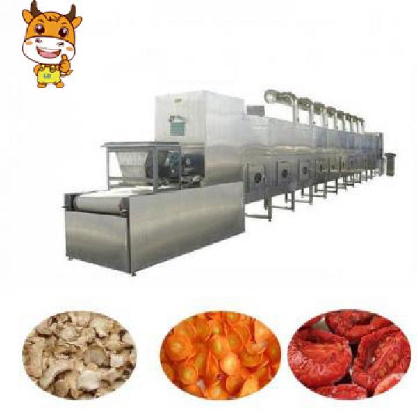 Industrial Conveyor Belt Type Microwave Sunflower Seed Drying Machine #1 image