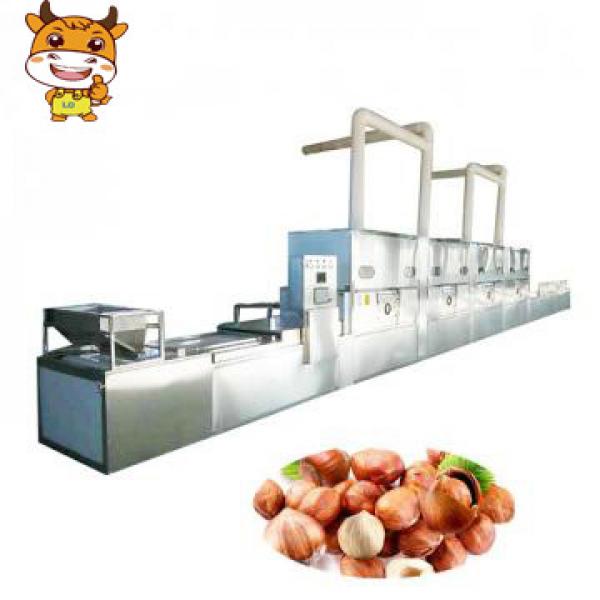 30KW Industrial Stainless Steel Microwave Betel Nut Dryer Machine Cardamom Hazelnut Drying Machine #1 image