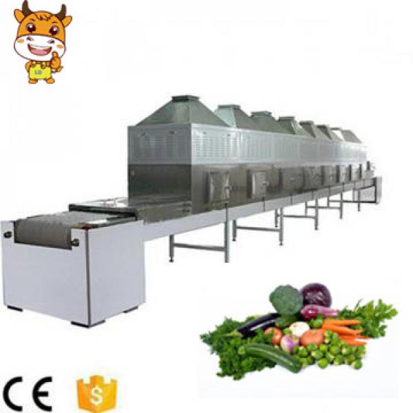 New CE Approved Vegetable Microwave Dryer Machine #1 image