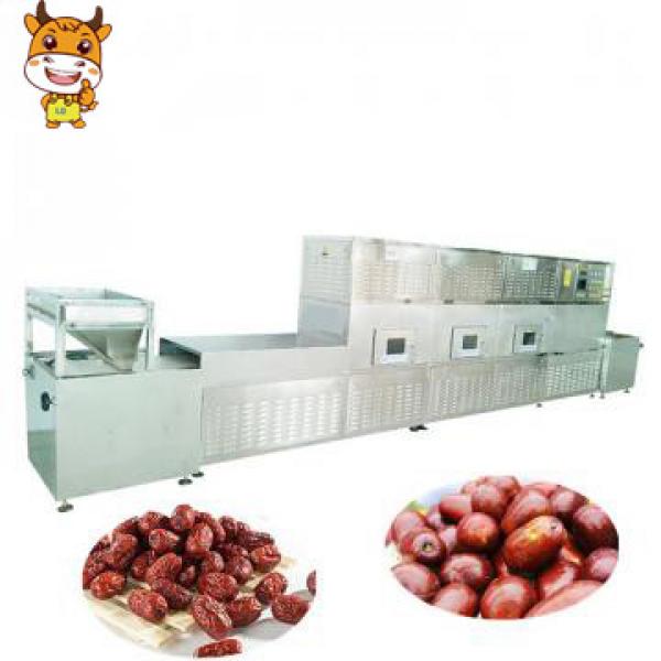 China Supplier Tunnel Microwave Oven Drying Machine With New CE Certification #1 image