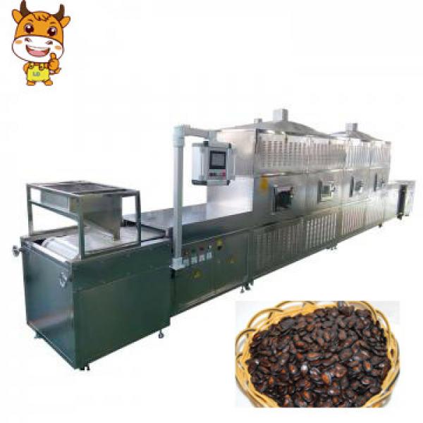 New CE Industrial Microwave Watermelon Seed Drying Machine #1 image