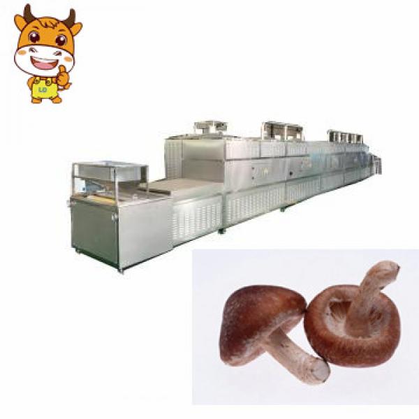 High Quality 30kw Tunnel Mushroom Microwave Drying Machine #1 image