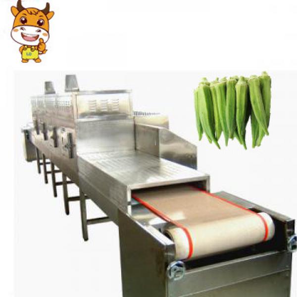 Industrial Conveyor Belt Type Microwave Okra Drying Machine #1 image