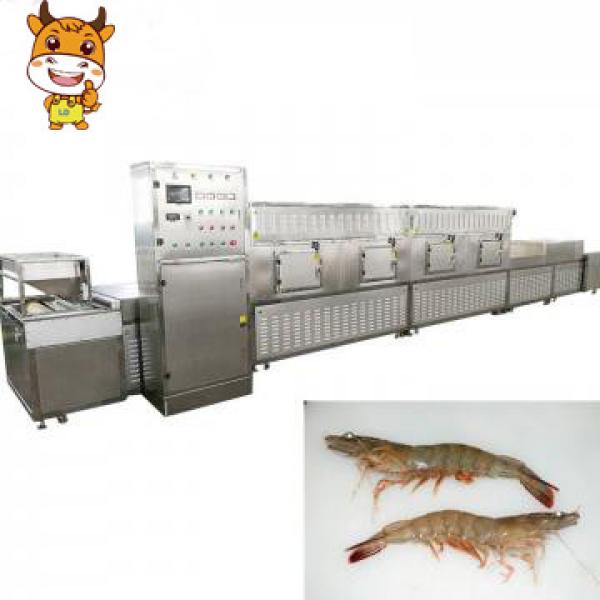 Industrial 30kw Belt Type Microwave Shrimp Drying Machine #1 image