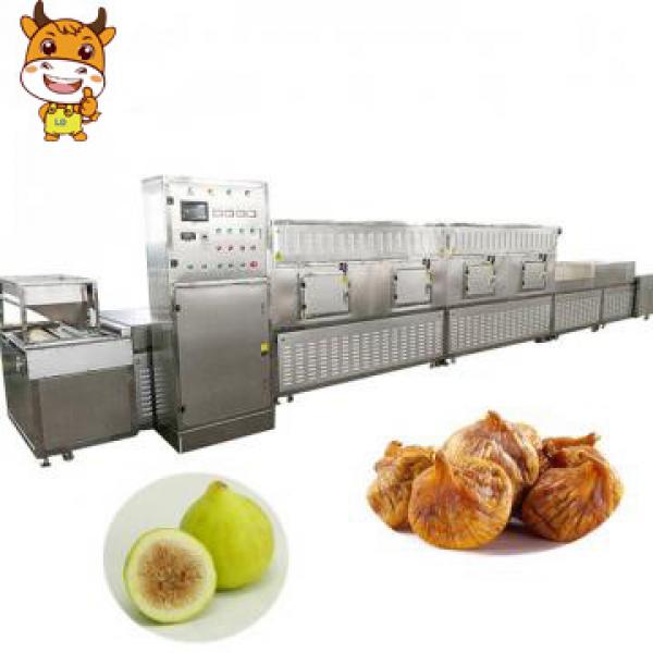20KW Fig Microwave Conveyor Belt Dehydrator Dehydration Sterilization Machine #1 image