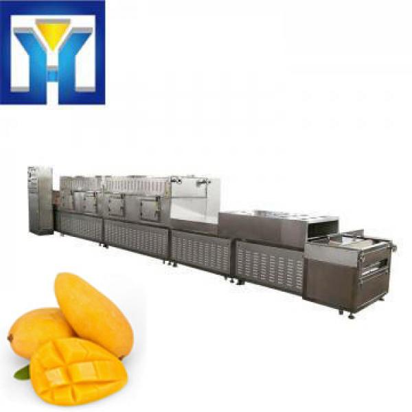 China Hot Sell Belt Conveyor Dried Mango Sterilizing Machine #1 image