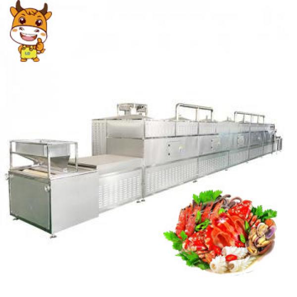 2018 Hot Sale 30KW Tunnel Microwave Drying And Sterilizing Equipment For Seafood #1 image