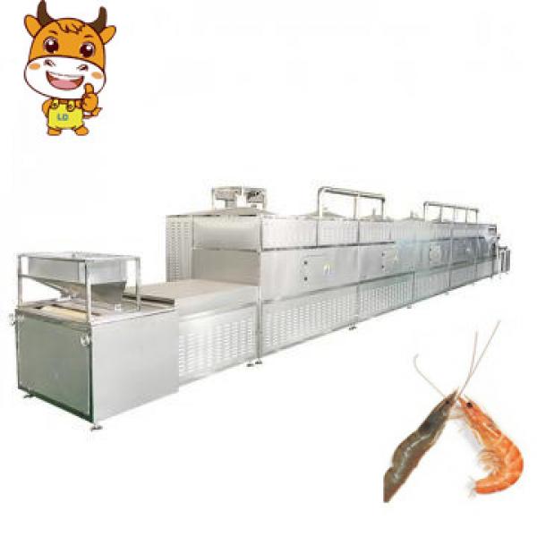 2018 Hot Sale Tunnel Microwave Prawns Drying and Cooking machine #1 image