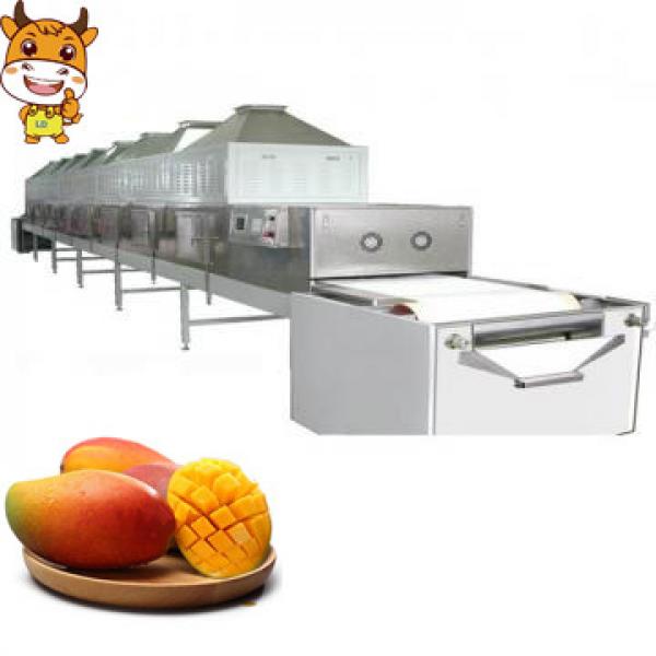 Large Handling New Technology Microwave Industrial Mango Drying Machine #1 image
