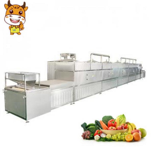 Tunnel Microwave Fruit And Vegetable Drying Machine #1 image