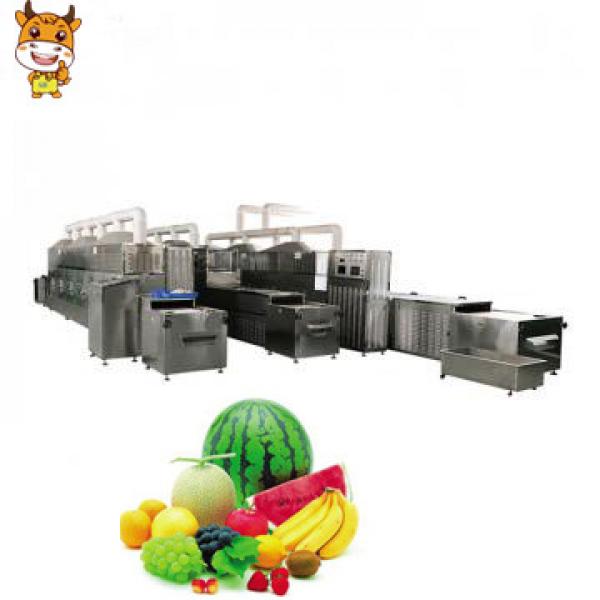 Automatic High Efficient Microwave Tunnel Oven For Fruits #1 image
