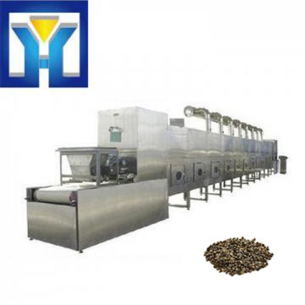 High heating speed drying curing buckwheat microwave dryer #1 image