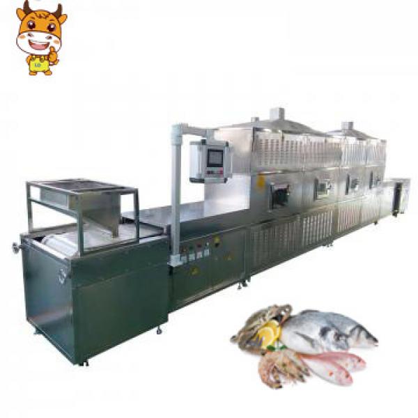 Hot Sale Tunnel Microwave Drying Sterilization Machine For Seafood With New Condition CE #1 image