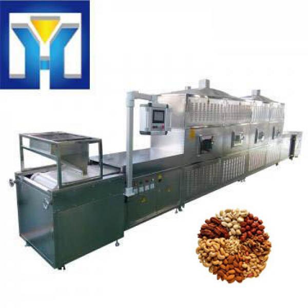 Automatic Microwave Tunnel Commerical Nuts Roasting Drying Machine #1 image