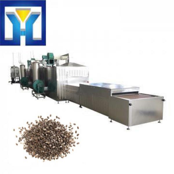 Tunnel Type Chia Seed Microwave Drying Sterilizing Curing Machine Equipment #1 image