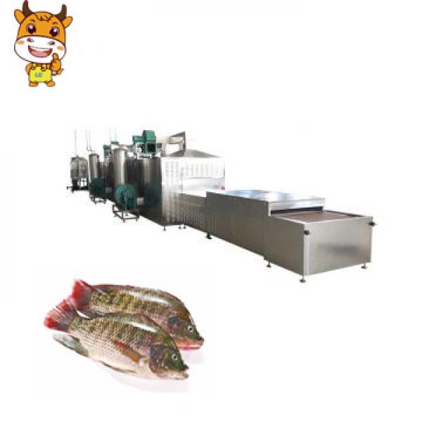 High Quality 20kw Tunnel Microwave Tilapia Drying Machine #1 image