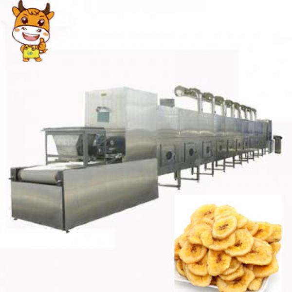 Full Automatic Tunnel 20kw Microwave Fruit Chips Baking Drying Dewatering Machine #1 image