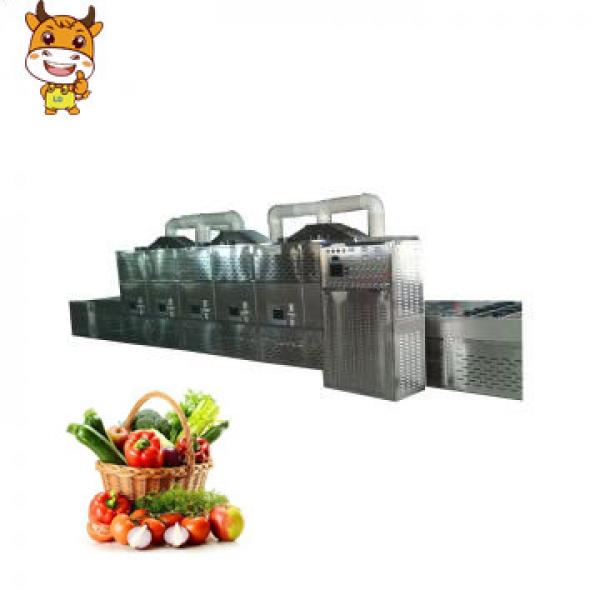 Full Automatic Industrial Tunnel Type Microwave Drying Dewatering Machine For Vegetable #1 image