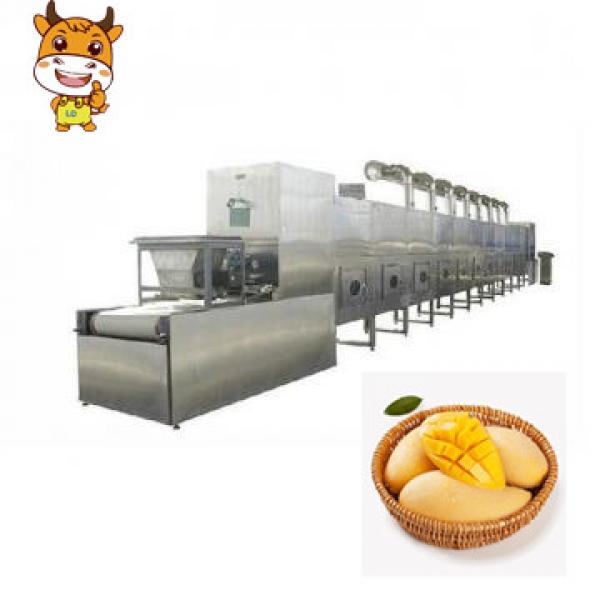 Best Price 50kw Tunnel Microwave Mango Chips Drying Machine #1 image