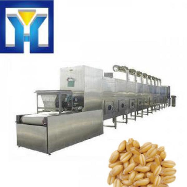 New Design Microwave Curing Oven Drying Equipment for Grain #1 image