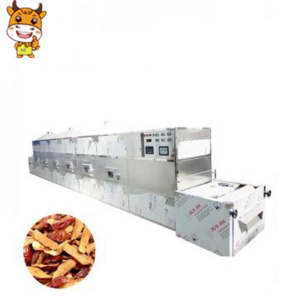 30kw Tunnel Microwave Red Dates Drying And Sterilizing Machine #1 image