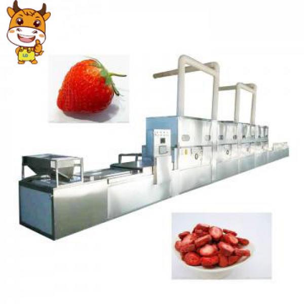Factory sale tunnel style 50KW microwave fruit dehydration machine #1 image