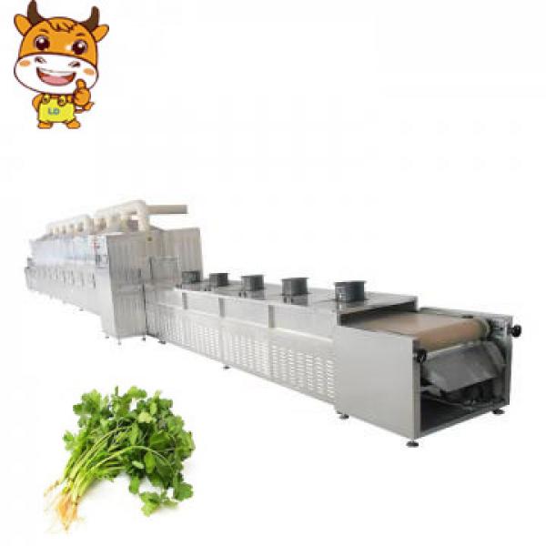 Hot Sale Microwave Coriander Seeds Drying Sterilizing Equipment #1 image