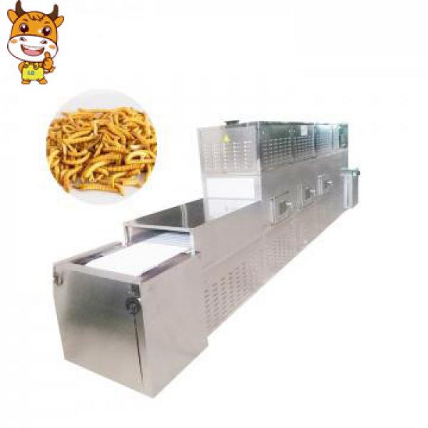 Best Price Yellow Mealworms microwave drying machine #1 image
