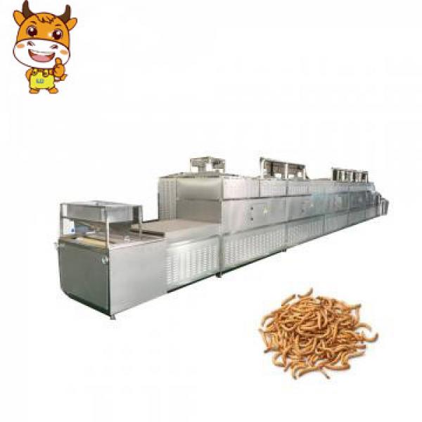 Professional Insect larva microwave dryer #1 image