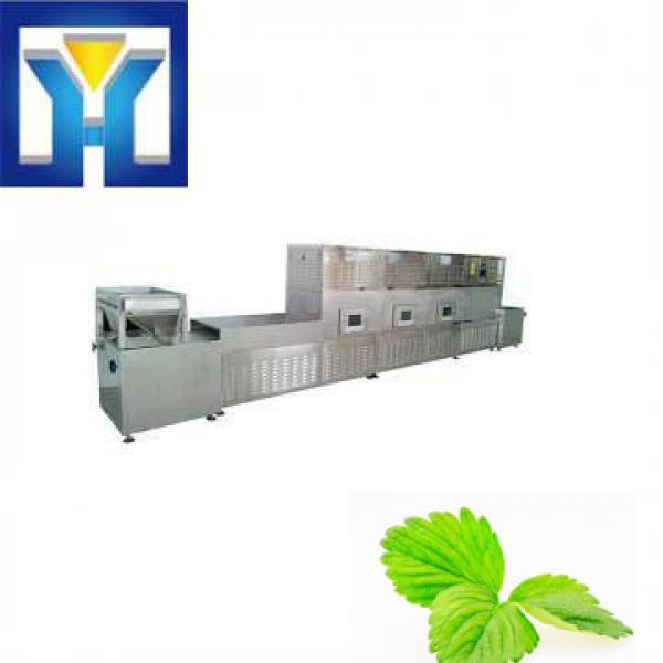 Hot Sale Ripening Leaf Microwave Drying Machine #1 image