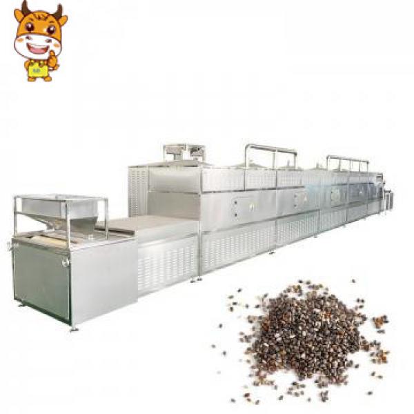 20kw Factory Price Tunnel Microwave Chia Seeds Drying And Sterilizing Machine #1 image
