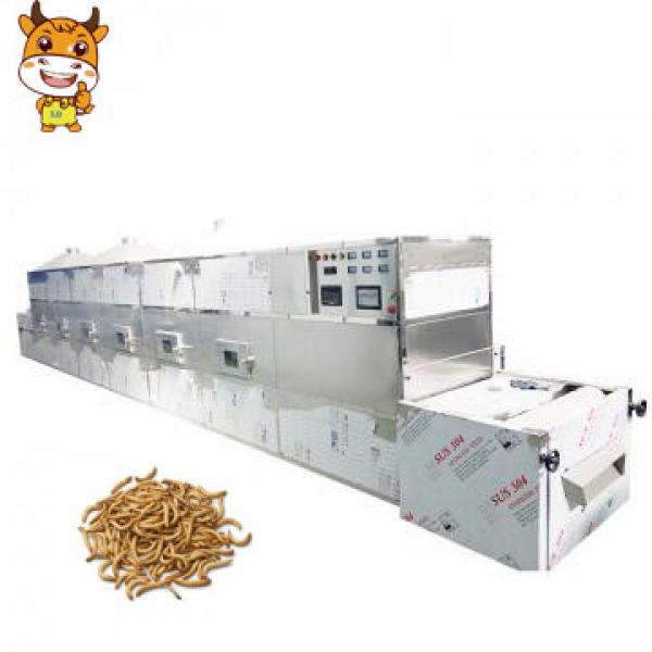 2019 CE Certification 50kw Tunnel Tenebrio Drying Microwave Machine #1 image