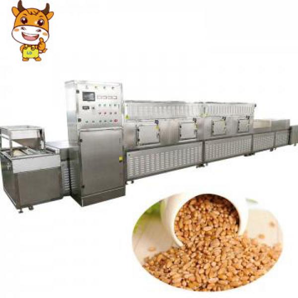 30KW Tunnel Microwave Pet Food Drying Sterilization Machine #1 image