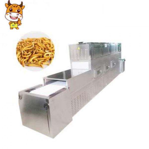 High Efficient Industrial Microwave Black Soldier Fly Larva Drying Oven #1 image