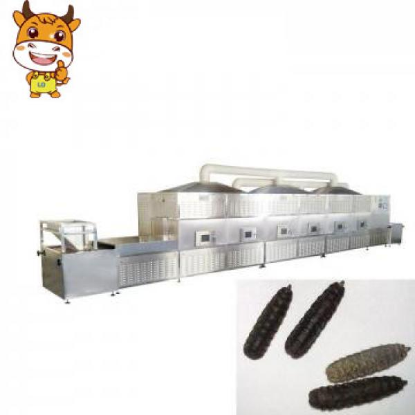 30kw Black Soldier Fly Drying Tunnel Microwave Machine #1 image