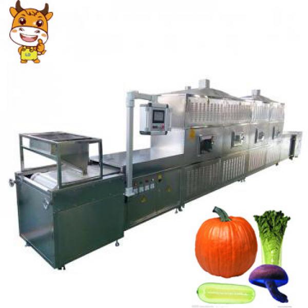 Vegetable Tunnel Microwave Dehydration Sterilization Equipment #1 image