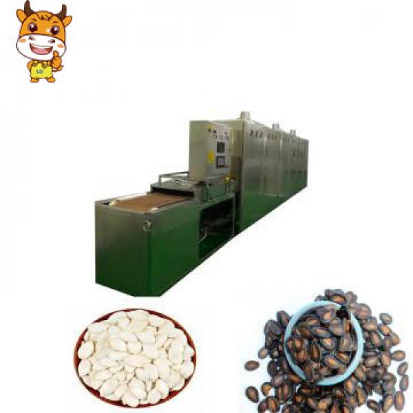 30KW Tunnel Microwave Melon Seeds Drying Sterilization Machine #1 image