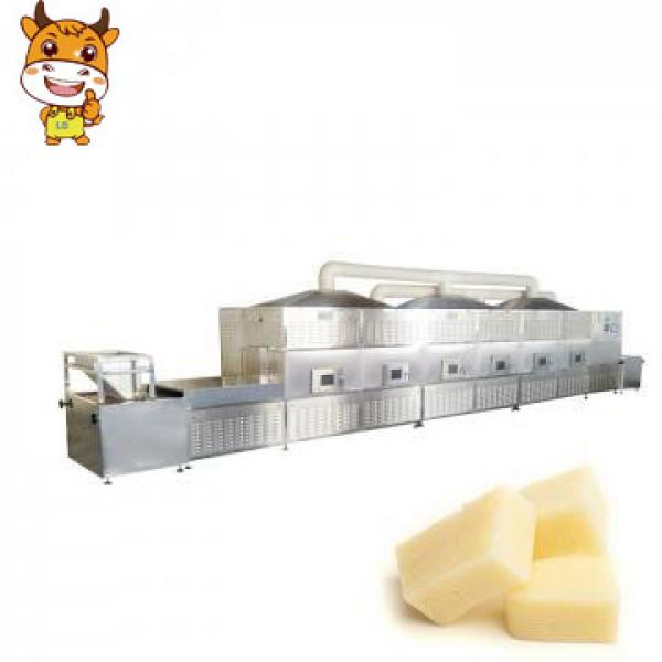 12kw High Quality Cheese Tunnel Microwave Sterilization Machine #1 image