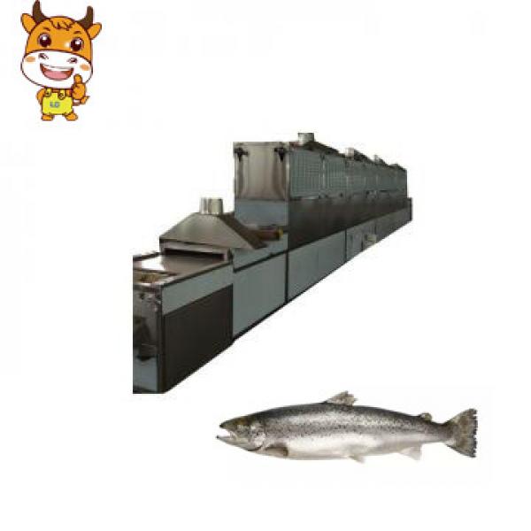 Easy Operation 50kw Microwave Salmon Drying Machine #1 image