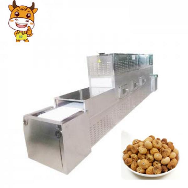 Full-Automatic Tunnel Dried Fruits Microwave Drying Sterilization Machine #1 image