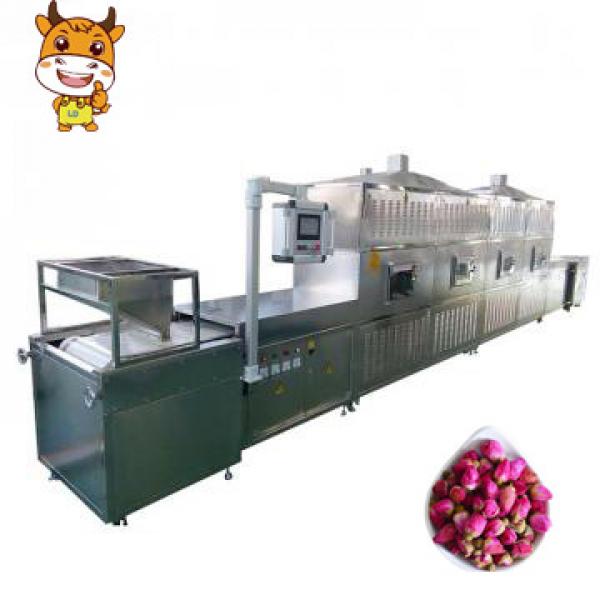 China's New Technology Fungus Food Microwave Drying machine #1 image