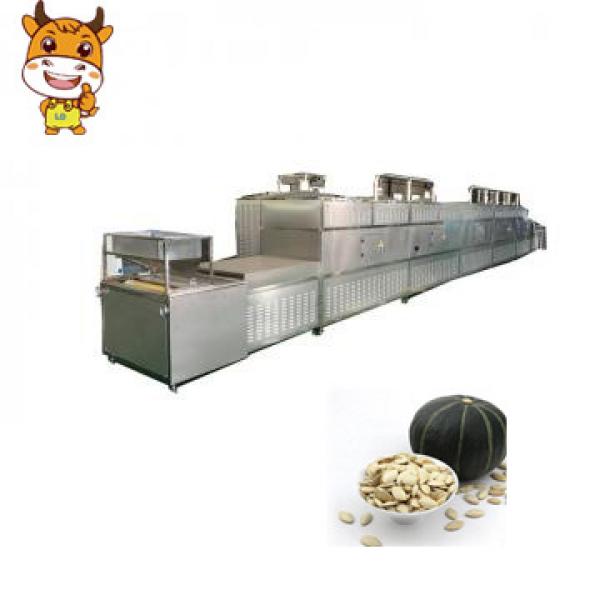 High Product Quality Microwave Drying And Sterilization Pumpkin Seeds Equipment #1 image