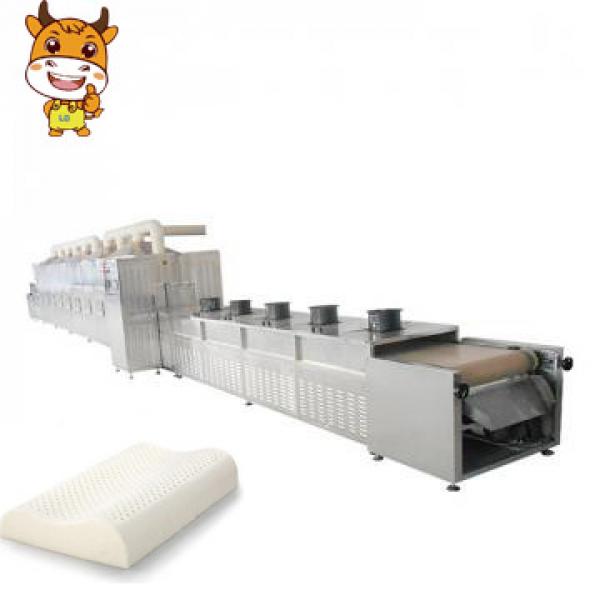 Latex Pillow Core Drying Sterilizing Microwave Machine #1 image