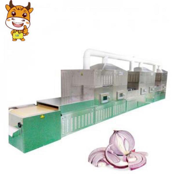 20KW Fast Drying Microwave onion Dryer Machine #1 image