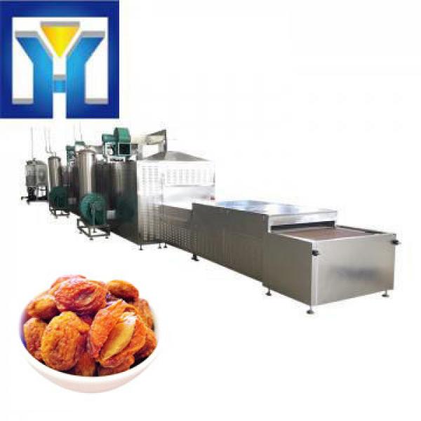 Joyang Dried Apricot Sterilizing Microwave Machine #1 image